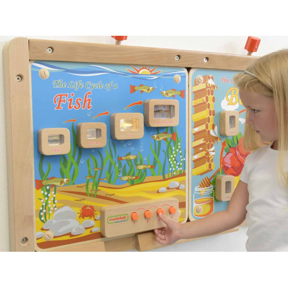 MASTERKIDZ Fish Life Cycle Illuminated Educational Board