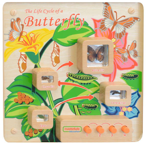MASTERKIDZ Butterfly Life Cycle Educational Wall Board