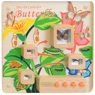 MASTERKIDZ Butterfly Life Cycle Educational Wall Board MASTERKIDZ Butterfly Life Cycle Educational Wall Board