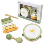 VIGA PolarB Musical Instrument Set with a Bird