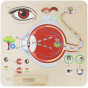 MASTERKIDZ Montessori Visual Sense Educational Board