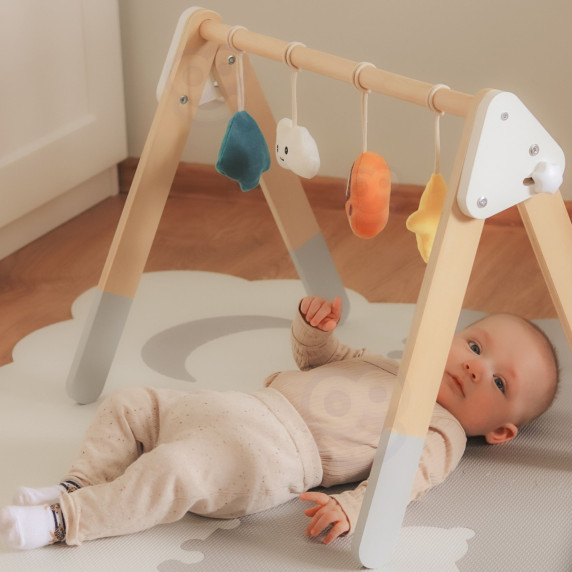VIGA PolarB Baby Gym Infant Stand