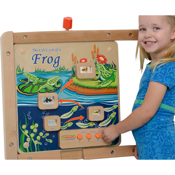 MASTERKIDZ Flex Montessori Wall Board Life Cycle of a Frog
