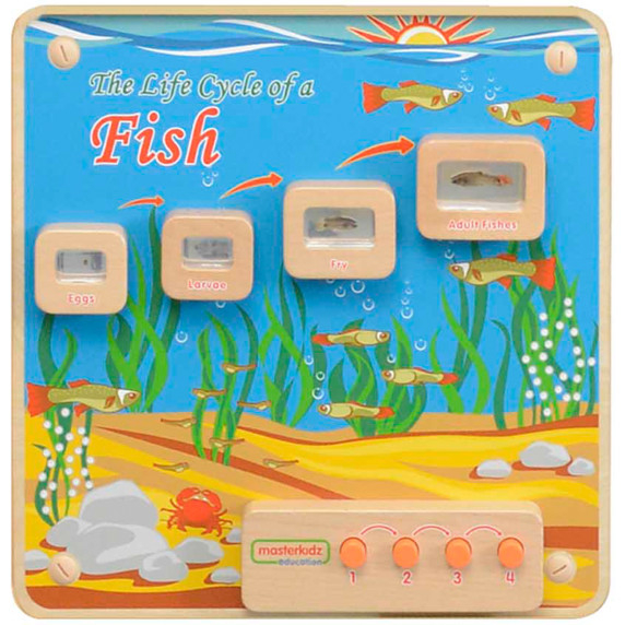 MASTERKIDZ Fish Life Cycle Illuminated Educational Board