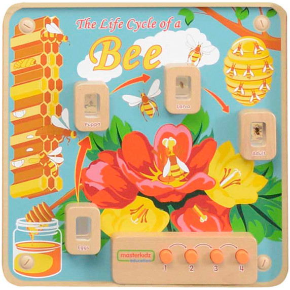 MASTERKIDZ Bee Life Cycle Flex Montessori Wall Board