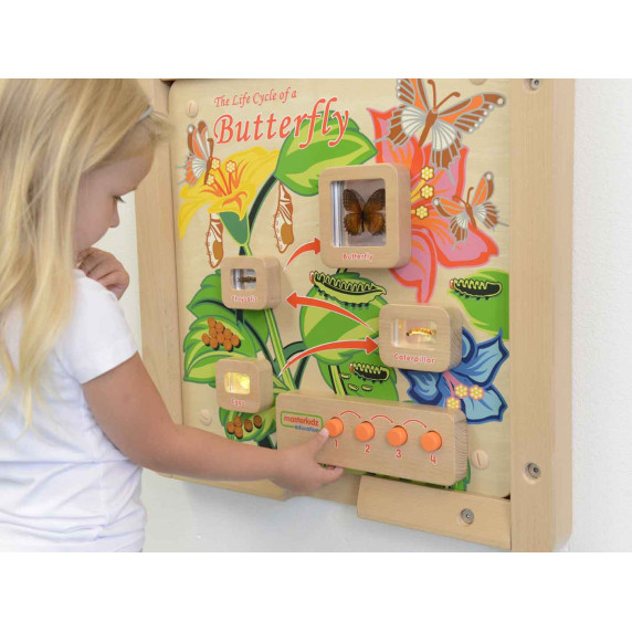 MASTERKIDZ Butterfly Life Cycle Educational Wall Board