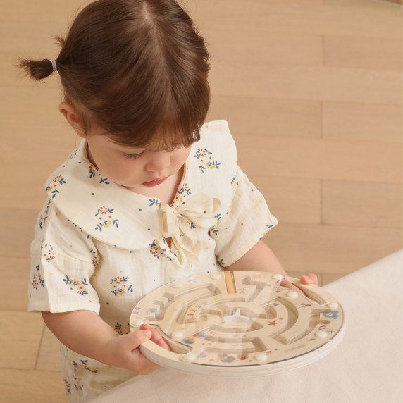VIGA PolarB Wooden Magnetic Maze