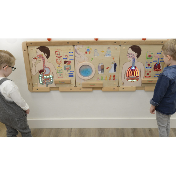 MASTERKIDZ Montessori Digestive System Educational Board