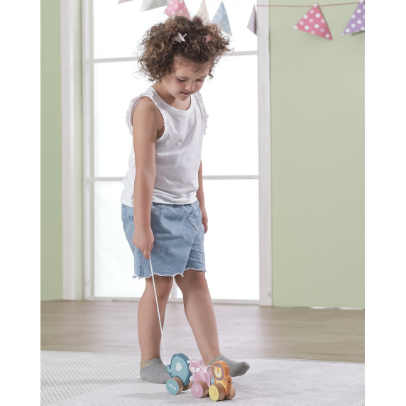 VIGA Wooden Pull-Along Toy