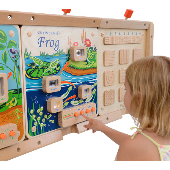 MASTERKIDZ Flex Montessori Wall Board Life Cycle of a Frog