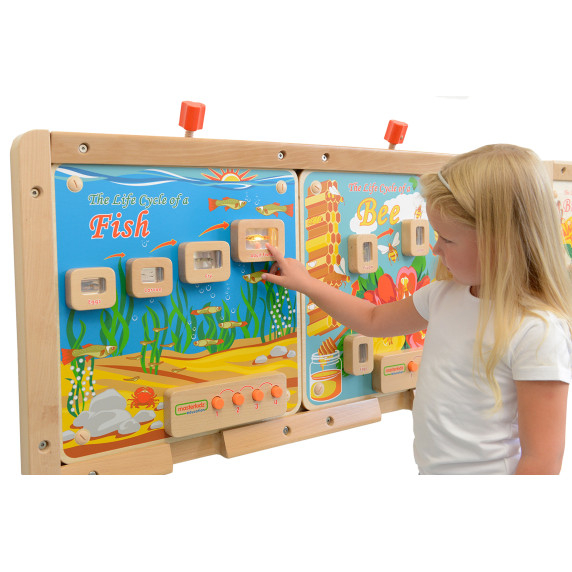 MASTERKIDZ Fish Life Cycle Illuminated Educational Board