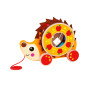 TOOKY TOY Large Wooden Hedgehog Sorter Pull-Along 2-in-1