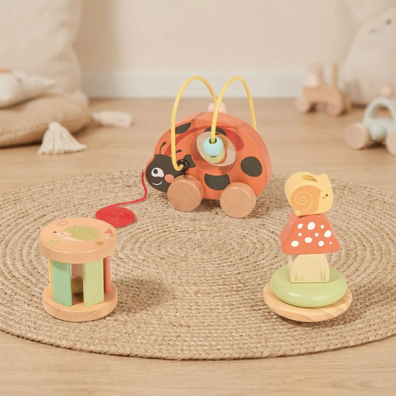 TOOKY TOY Ladybug 3-in-1 Developmental Play Set