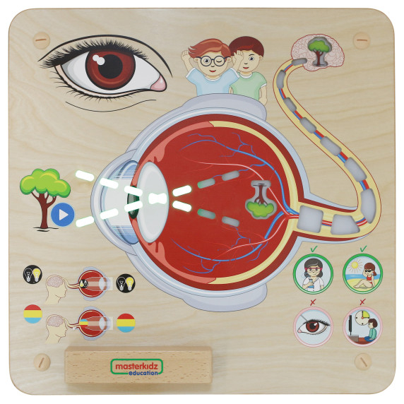 MASTERKIDZ Montessori Visual Sense Educational Board