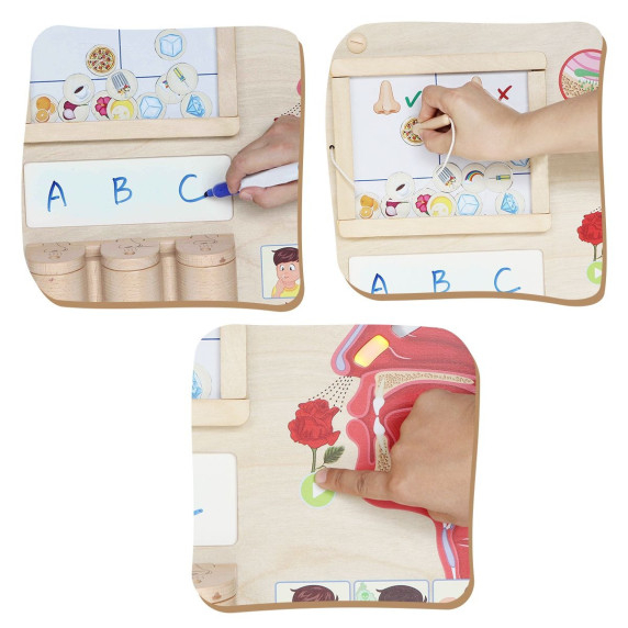 MASTERKIDZ Montessori Sense of Smell Educational Board