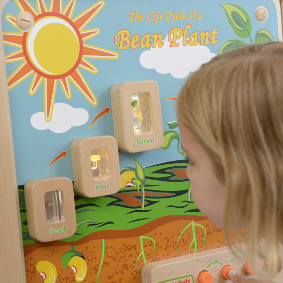 MASTERKIDZ Plant Life Cycle Flex Wall Board