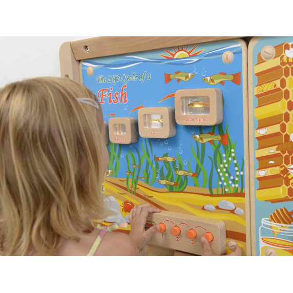 MASTERKIDZ Fish Life Cycle Illuminated Educational Board
