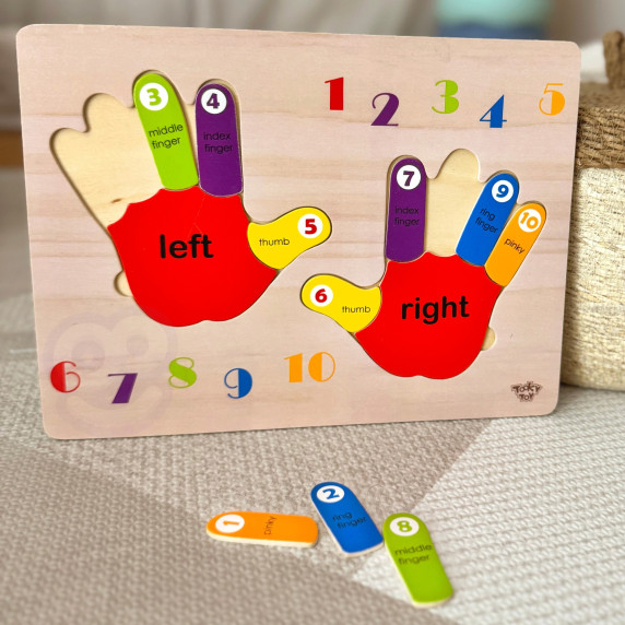 TOOKY TOY Educational Wooden Puzzle Hand Learning Counting and Colors