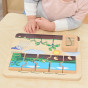 MASTERKIDZ Wooden Bean Life Cycle Board