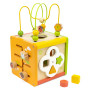 VIGA Wooden Educational Cube 5-in-1