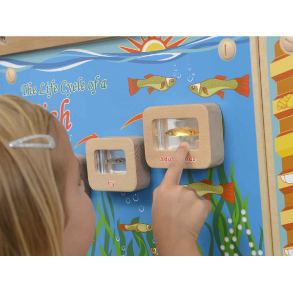 MASTERKIDZ Fish Life Cycle Illuminated Educational Board