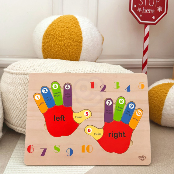 TOOKY TOY Educational Wooden Puzzle Hand Learning Counting and Colors