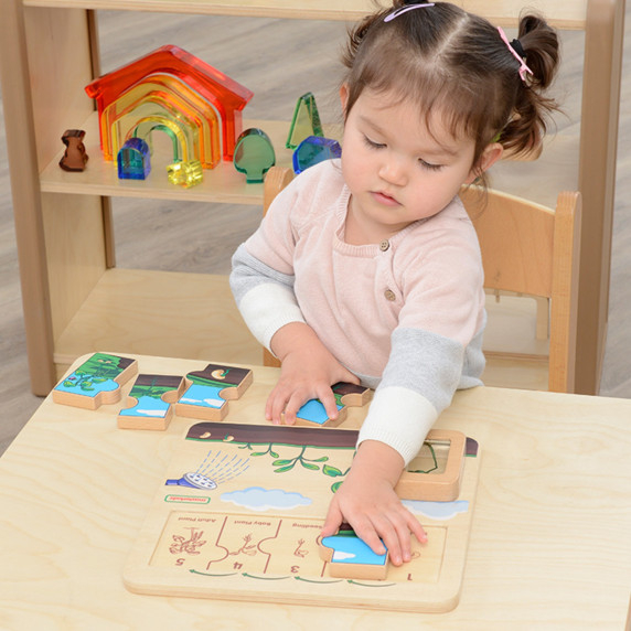 MASTERKIDZ Wooden Bean Life Cycle Board