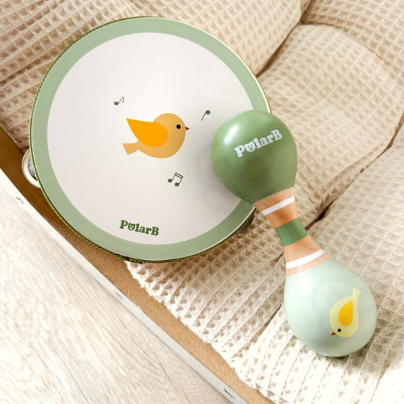VIGA PolarB Musical Instrument Set with a Bird