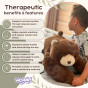 WOOPIE Weighted Plush Toy Teddy Bear Bruno Anti-Stress Sensory Heavy Bear Cuddly Toy 65cm 1500g