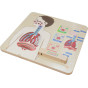 MASTERKIDZ Montessori Respiratory System Educational Board