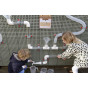 MASTERKIDZ Paper and Marker Clip 2 pcs. Board Accessories