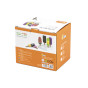 VIGA Set of Wooden Ice Cream Sticks with Stand 6 pcs.
