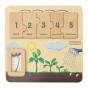 MASTERKIDZ Wooden Bean Life Cycle Board