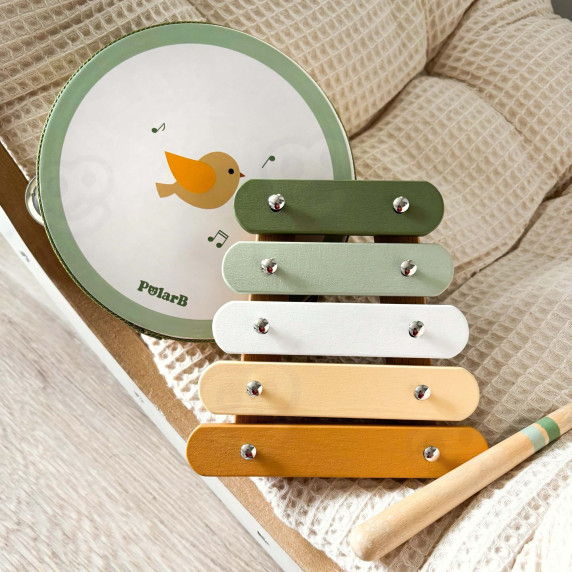 VIGA PolarB Musical Instrument Set with a Bird