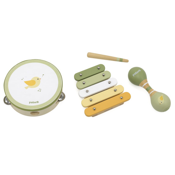 VIGA PolarB Musical Instrument Set Green
