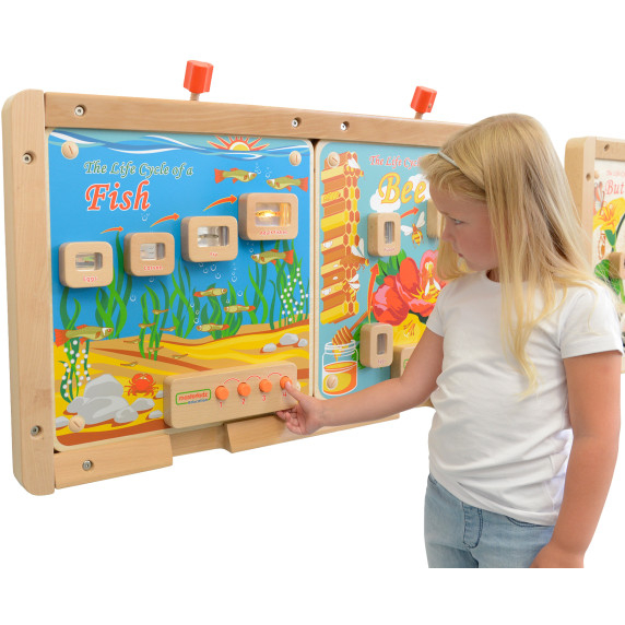 MASTERKIDZ Fish Life Cycle Illuminated Educational Board