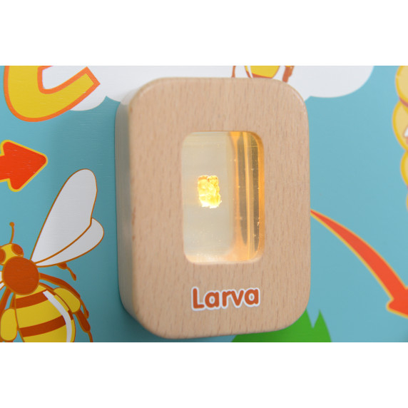 MASTERKIDZ Bee Life Cycle Flex Montessori Wall Board