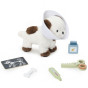 VIGA PolarB Pet Care Kit – Little Veterinarian