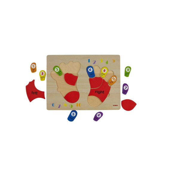 TOOKY TOY Educational Wooden Foot Puzzle Learning Counting and Colors