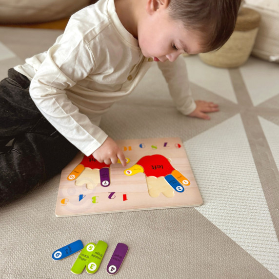 TOOKY TOY Educational Wooden Puzzle Hands and Feet Learning Counting and Colors