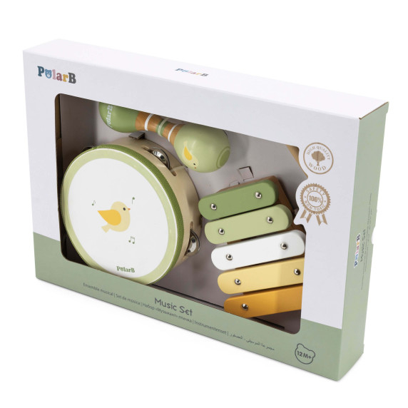VIGA PolarB Musical Instrument Set with a Bird