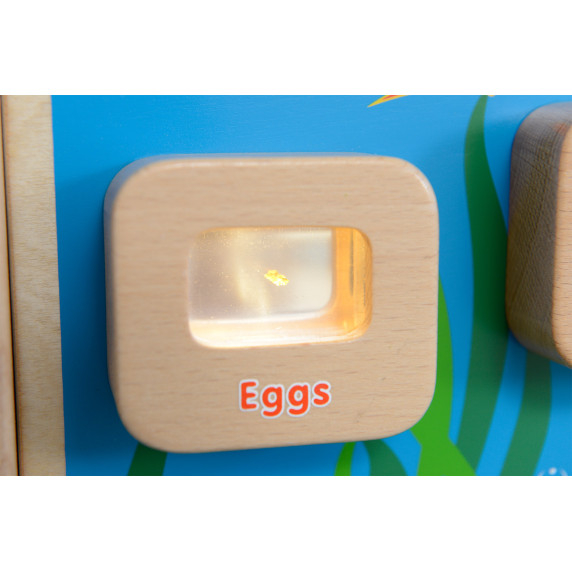 MASTERKIDZ Fish Life Cycle Illuminated Educational Board