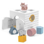 VIGA PolarB Educational Sorter Rattling Montessori Blocks
