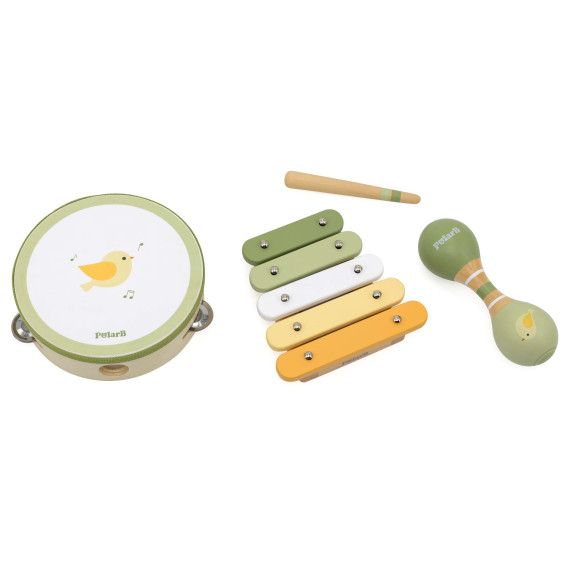 VIGA PolarB Musical Instrument Set with a Bird