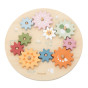 VIGA PolarB Wooden Colorful Montessori Gears