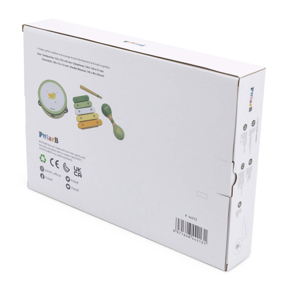 VIGA PolarB Musical Instrument Set with a Bird