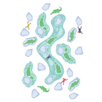 AMAZON ADVENTURES Floor sticker for games