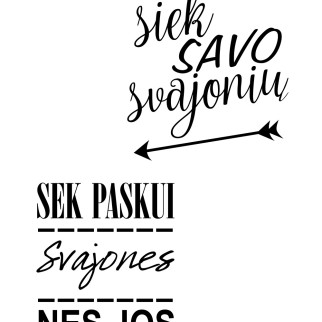 PURSUE YOUR DREAMS Motivational slogan on the wall PURSUE YOUR DREAMS Motivational slogan on the wall