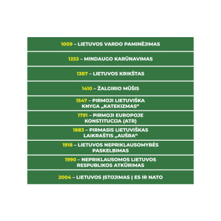 STEPS THROUGH LITHUANIAN HISTORY Educational stair stickers